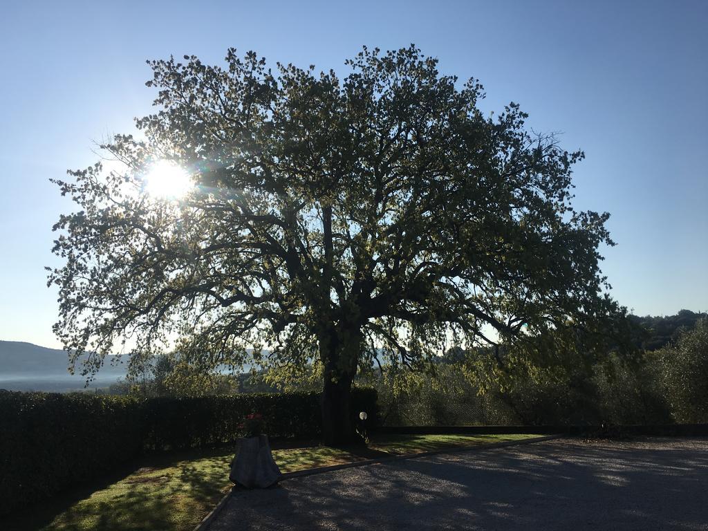 Agriturismo Pian Del Vescovo Massa Marittima Eksteriør billede